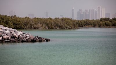 The UAE has set aside vast areas of land for environmental conservation. Silvia Razgova / The National