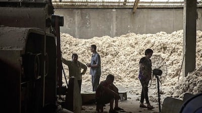 About half of China's wool imports from Australia are processed and re-exported to Europe, America and Japan. Kevin Frayer / Getty Images