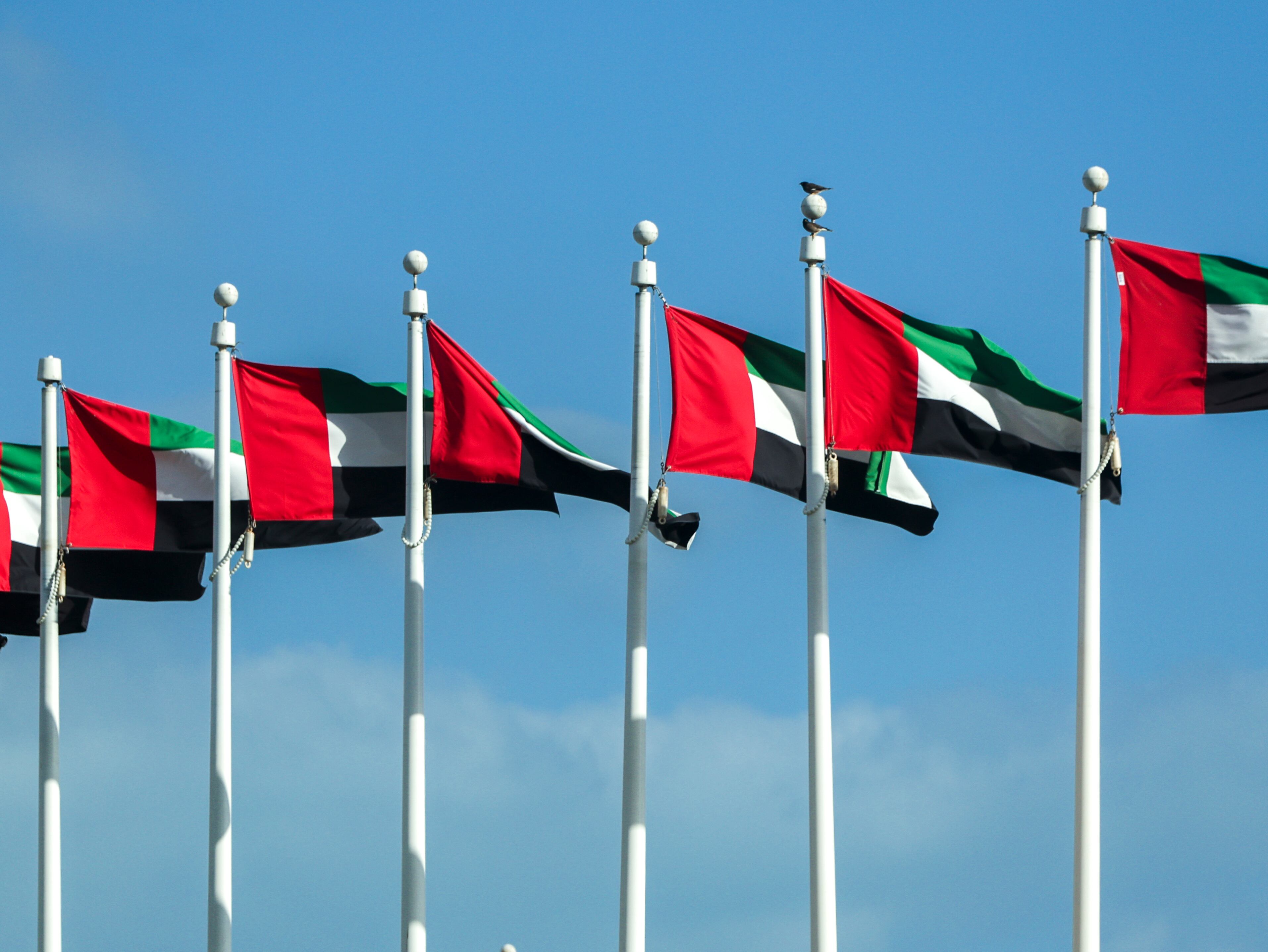 UAE Dismantles Hezbollah- and Iran-Funded Terrorist Network, Makes Arrests