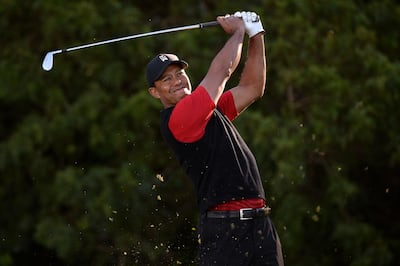 Tiger Woods is among those to express support for limiting the distance the ball can travel. Orlando Ramirez / Reuters