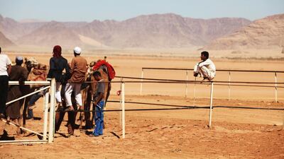 Jordanian Bedouins prepare to race camels using robotic jockeys in the desert of Wadi Rum valley, south of Jordan.