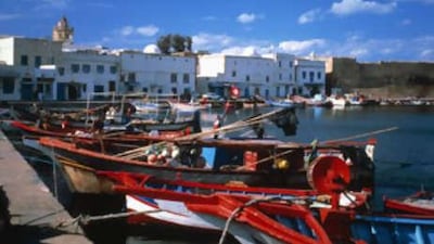 Rising tide: Tunisia's coastline will be home to one of the grandest visions in the region, a US$25bn mixed-use development to house half a million people.