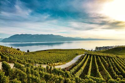 The Lake Geneva region of Switzerland. Maude Rion/ Montreux Riviera Tourism