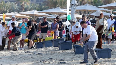 Staff release the turtles at Madinat Jumeirah’s private beach. Pawan Singh / The National