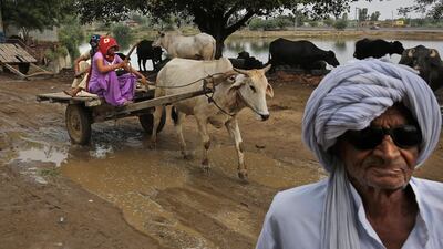 An elderly man walks past as women ride a cart.