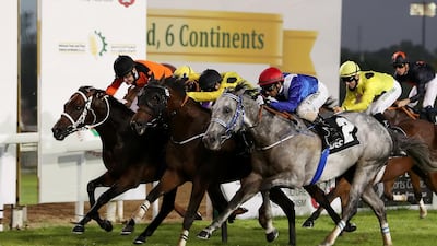 Ajwad, ridden by Gerald Avranche, in an orange shirt, had a good night at the Abu Dhabi Equestrian Club on Sunday. Pawan Singh / The National