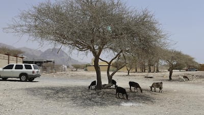 Many residents of Wam village are calling for basic services, such as street lighting, a park, a school – and even paved roads. Jeffrey E Biteng / The National