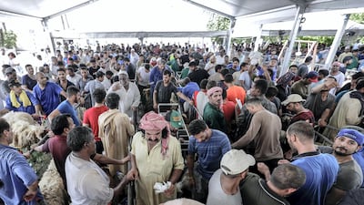 The Mina Zayed market was packed with customers in search of sheep and goats on Sunday.