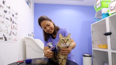 Marge receives a grooming session from Elena Lopena. Photo: Chris Whiteoak / The National