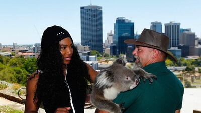 Serena Williams meets with a park ranger holding "Sunshine" the koala bear at the Caversham Wildlife Park in Perth during the Hopman Cup. Will Russell / Getty Images