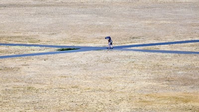 A person walks through parched parkland in Greenwich, London. EPA