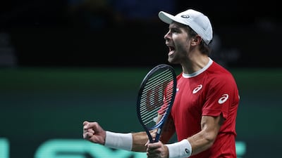 Croatia’s Borna Coric will be competing at the Mubadala World Tennis Championship. AFP