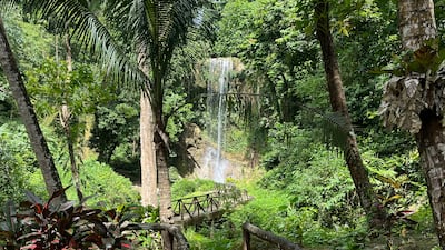 The approach to Kawasan Falls on Bohol island in the Philippines. Photo: David Dunn