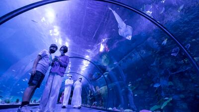 Visitors at the opening of the National Aquarium Abu Dhabi. Ruel Pableo for The National