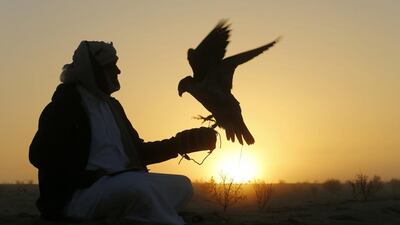 An Emirati man sits with his falcon during a falconry competition. Karim Sahib / AFP Photo