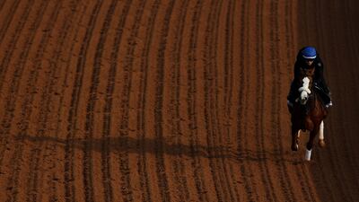 RIYADH, SAUDI ARABIA - FEBRUARY 19: A general view of the morning track work ahead of the Saudi Cup 2025 at King Abdulaziz Racecourse on February 19, 2025 in Riyadh, Saudi Arabia. (Photo by Francois Nel / Getty Images)