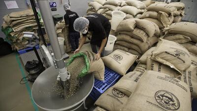 A worker puts coffee beans to the roaster machine at Coffee Planet roastery warehouse in Jebel Ali. Jaime Puebla / The National