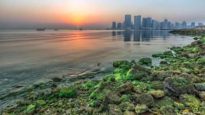 Expats say it is easy to settle in Bahrain, making it the seventh top expat country in the world.