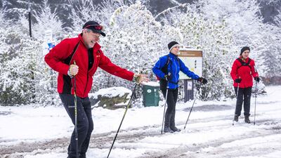 The first snowfall of the year in Vijlen, Netherlands. AFP