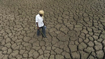 An Indian shepherd walks on the bed of the dried up Osman Sagar Lake, commonly known as Gandipet, on the outskirts of Hyderabad. Noah Seelam / AFP Photo