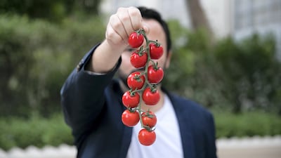 Sky Kurtz, Pure Harvest co-founder, holds tomatoes harvested in his company's farm in Nahel. Reem Mohammed / The National