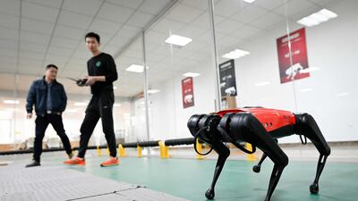 The AlphaDog quadruped robot sells for 16,000 yuan ($2,400). Wang Zhao / AFP