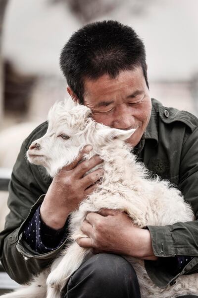 A herder tends to his flock. Photo by Giulio Di Sturco