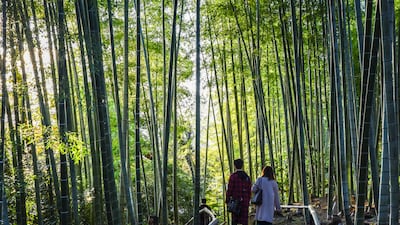 The attraction draws couples from around the world.