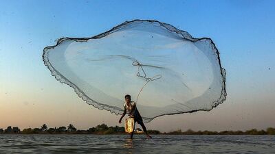 An Indian fisherman throws his net in a small pond at the outskirts of Mumbai, India. Divyakant Solanki / EPA