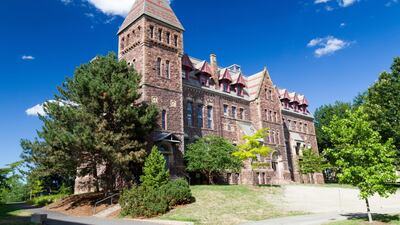 While courses like 'tree climbing' being offered by Cornell are fascinating topics, their existence does adds substance to the charge that the hugely-expanding university sector is not placing sufficient weight on academic rigour. Alamy Stock Photo