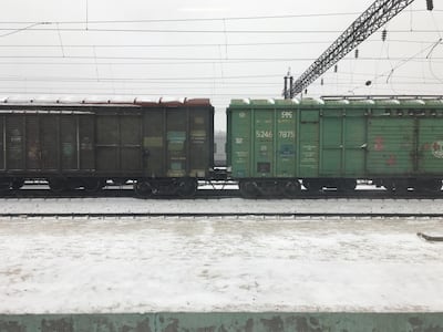 Thor has spent days on trains, boats and buses. Courtesy Torbjorn Pedersen