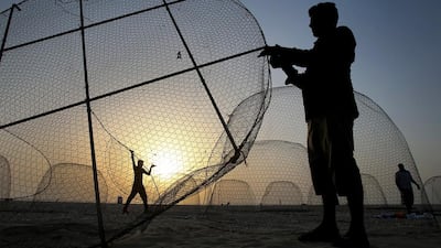 Fishermen collect gargoor traps after having repaired them on the last day of fishing season at Jumeirah fishing harbour in Dubai. The use of gargoors is banned in Abu Dhabi. Kamran Jebreili / AP Photo