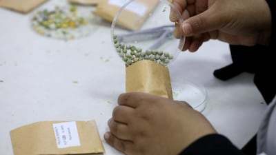 Seeds are packaged and catalogued.