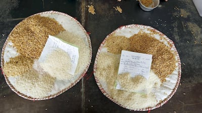 Rice mill workers check and classify rice quality in a rice mill in Khon Kaen. Thailand and China signed a memorandum of understanding last December for China to buy two million tonnes of rice over two years. Jorge Silva / Reuters