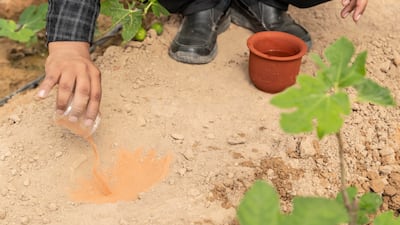 Water consumption on the farm has been reduced by 80 per cent.