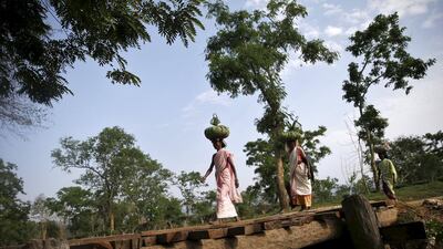 Workers carry tea leaves balanced on their heads after picking.