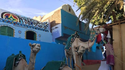 Camels beside the colourful buildings of Gharb Sohail, a Nubian village in Egypt. Courtesy Aya Nader.