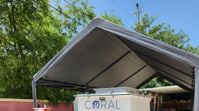 Coral bleaching is affecting large sections of Florida's famous reefs. The state has received funding from the UAE that has gone towards combating this climate change-related phenomenon