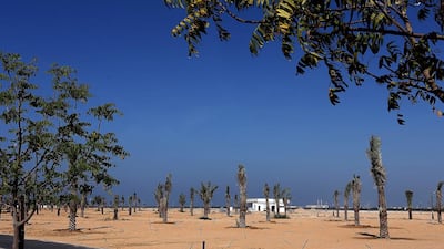 Al Safia park in Mushairif is one of the three new parks in Ajman that will be thrown open to visitors soon. Satish Kumar / The National