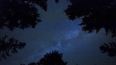 The annual Perseid meteor shower near Rogla, Slovenia. Srdjan Zivulovic / Reuters