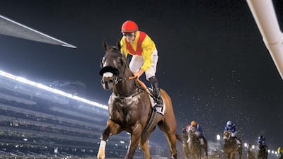 Lavaspin was one of two winning horses on the night for jockey Richard Mullen and trainer Satish Seemar. Erika Rasmussen for The National