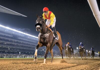 Lavaspin was one of two winning horses on the night for jockey Richard Mullen and trainer Satish Seemar. Erika Rasmussen for The National