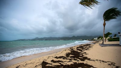 A view of the Baie Nettle beach in Marigot, with the wind blowing ahead of the arrival of Hurricane Irma. Lionel Chamoiseau / AFP Photo