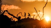 Men walk through rubble at Bureij camp for Palestinian refugees in the central Gaza Strip. AFP