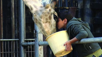 Ahmed Bayatra stars in Giraffada. Courtesy of Abu Dhabi Film Festival