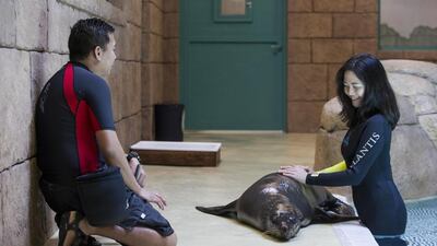 So far it has been a hit, with more than 500 people having photos taken with the animals since February this year.