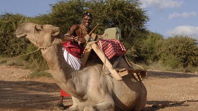 Paul Joynson-Hicks / The Sanctuary at Ol Lentille