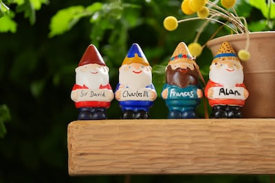 Painted gnomes of Sir David Beckham, King Charles III, garden designer Frances Tophill and Alan Titchmarsh. Getty Images