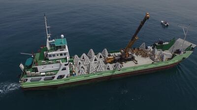 Artificial caves are lowered into the sea in Dubai to encourage fish stocks. Wam