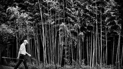 James Kingston of South Africa walks past some bamboo after hits his tee shot on the 10th hole during Joburg Open. Dean Mouhtaropoulos / Getty Images